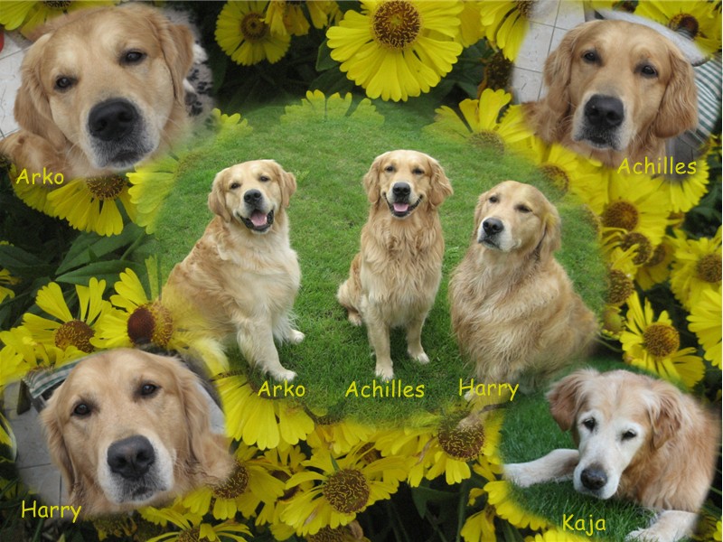 3 Musketiere und Kaja 3 Musketiere und Kaja