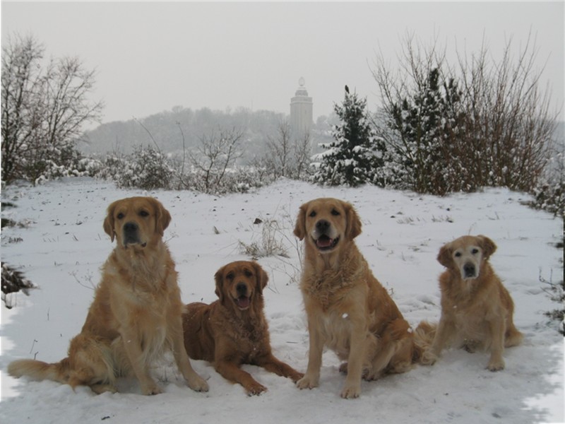 Weihnachtsbesuch von Emma & Hope